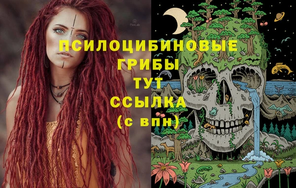 бошки Дмитриев
