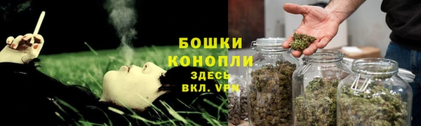 бошки Дмитриев