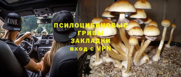 гидропоника Дмитровск