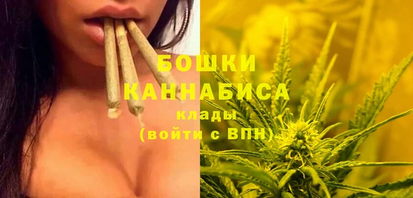 гидропоника Дмитровск