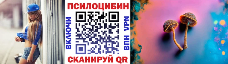 Купить где  Собинка  Галлюциногенные грибы прущие грибы 