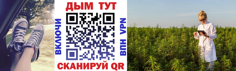 Купить закладки  Собинка  Бошки Шишки семена 